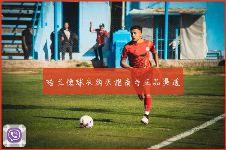 哈兰德球衣购买指南与正品渠道