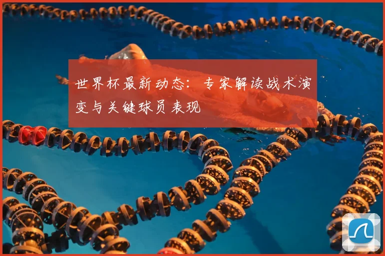 世界杯最新动态：专家解读战术演变与关键球员表现