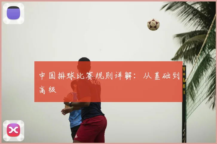 中国排球比赛规则详解：从基础到高级